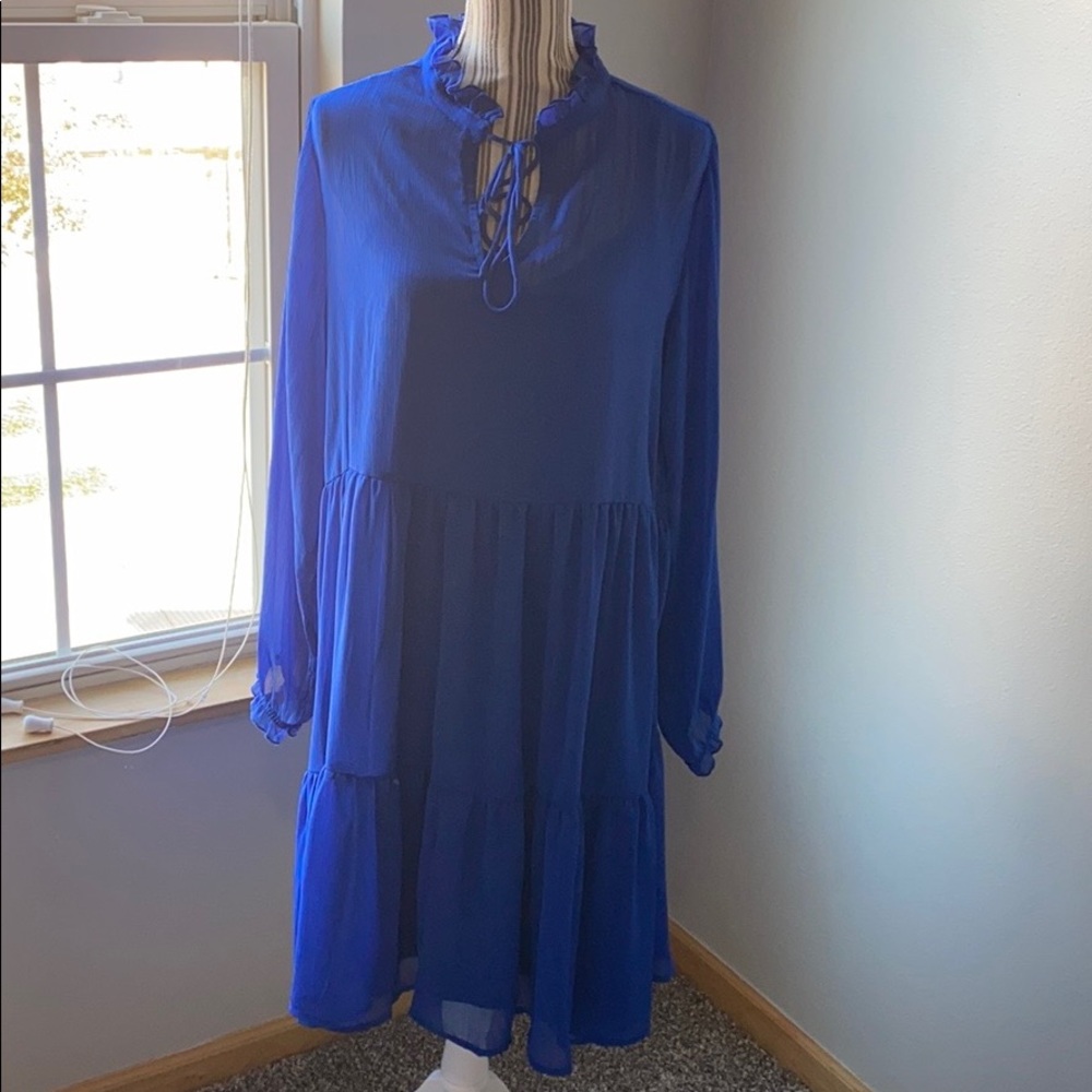 Evri dress.